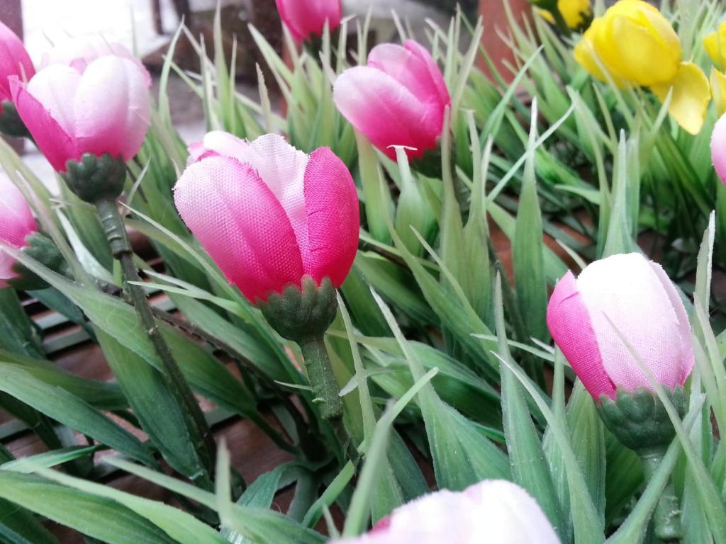 Pink Tulip Hotel Ho Chi Minh City Exterior photo