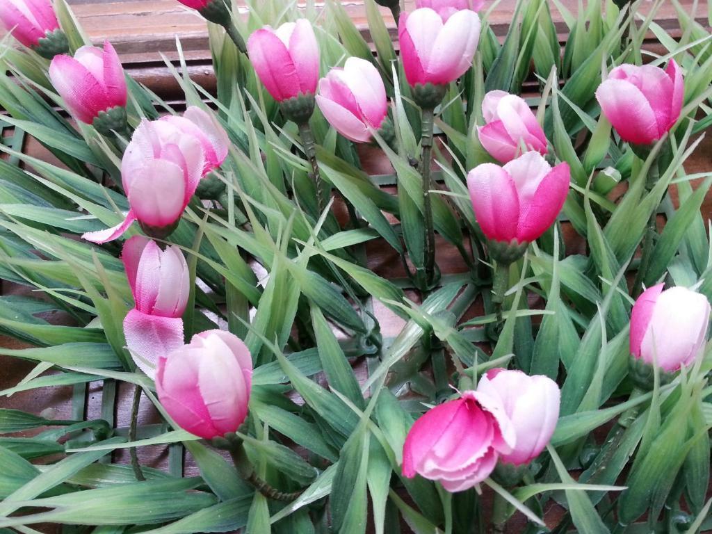 Pink Tulip Hotel Ho Chi Minh City Exterior photo